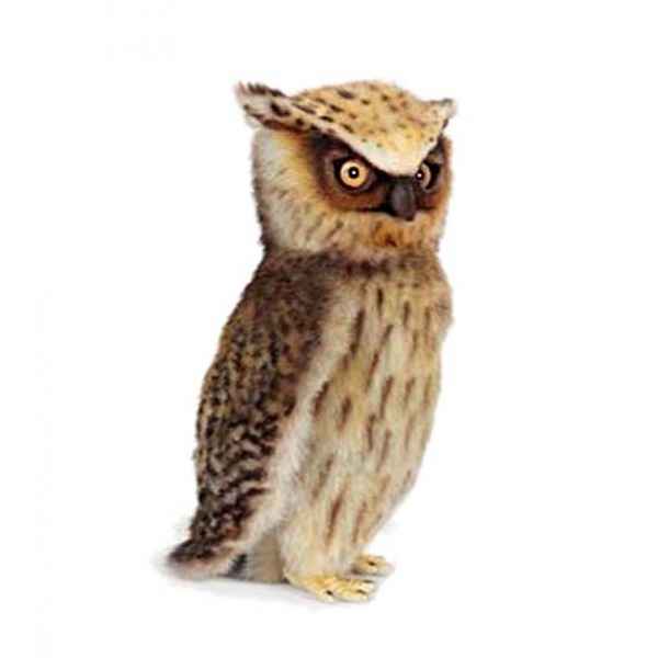 Hibou 26cmh Anima -6767